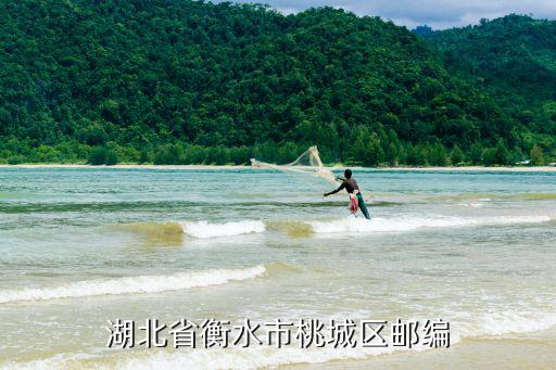 衡水桃城區郵政編碼是什么，衡水濱湖國際郵編...